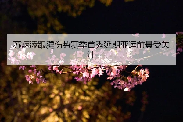 su-bing-tian-gen-jian-shang-shi-sai-ji-shou-xiu-yan-qi-ya-yun-qian-jing-shou-guan-zhu-2-226.jpg